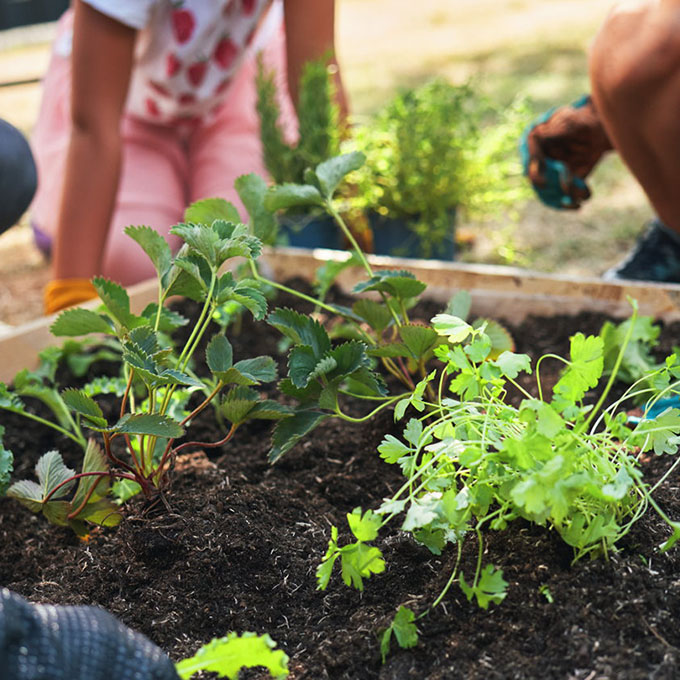 L'importanza di educare i bambini all'amore e al rispetto per l'ambiente